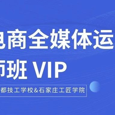 新电商全媒体运营导师班 VIP