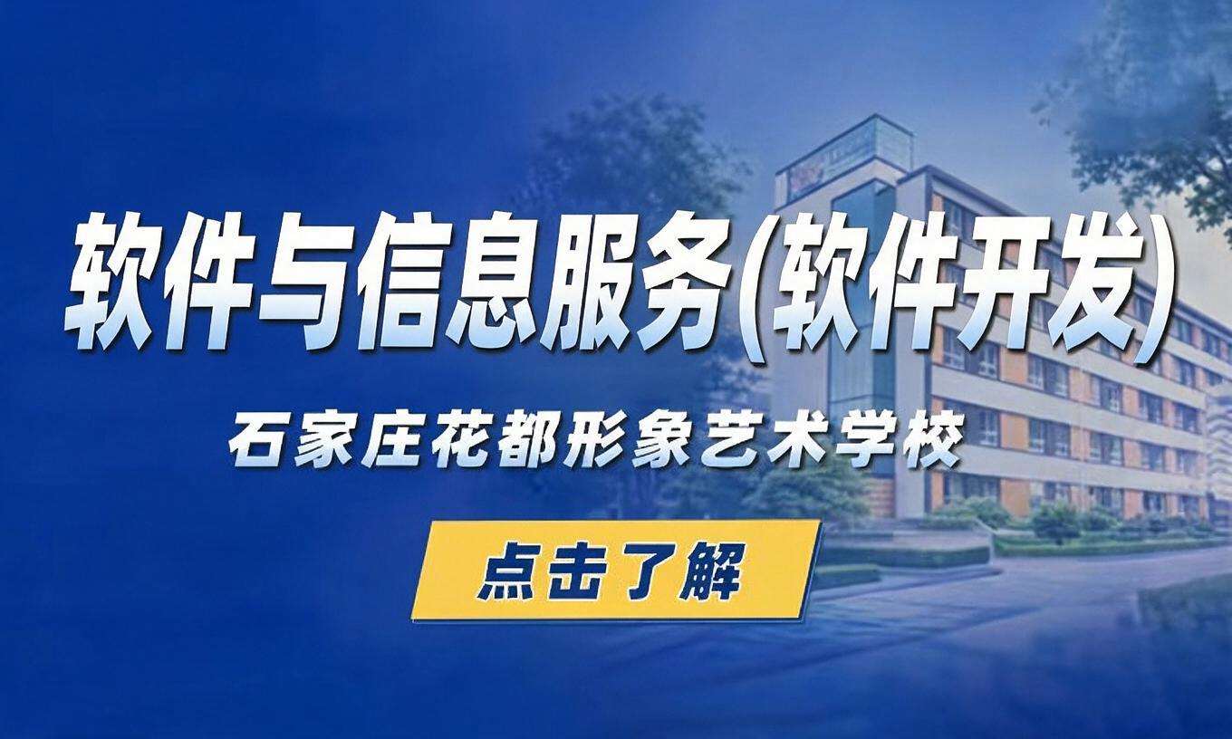 软件与信息服务(软件开发)